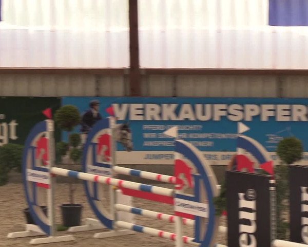 Nordic Jumping events 2019