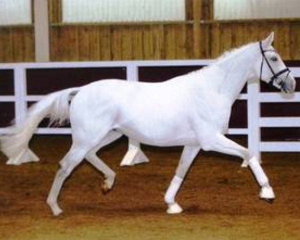 stallion Nice Dannon xx (Thoroughbred, 2008, from Sakhee xx)