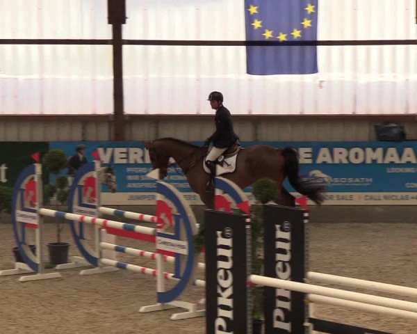 Nordic Jumping events 2019