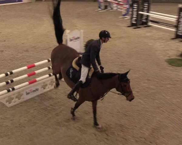Nordic Jumping events 2019