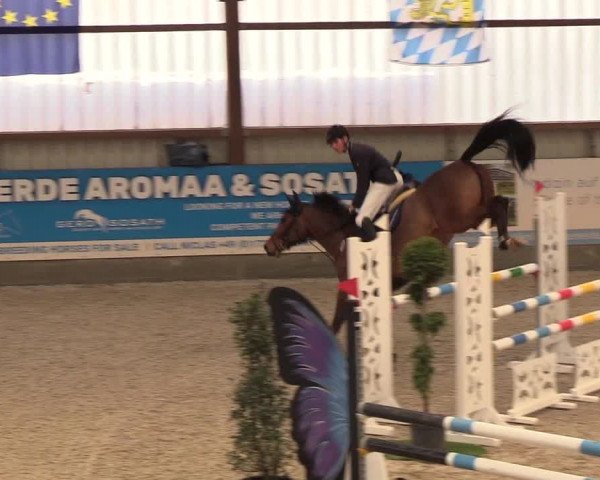Nordic Jumping events 2019