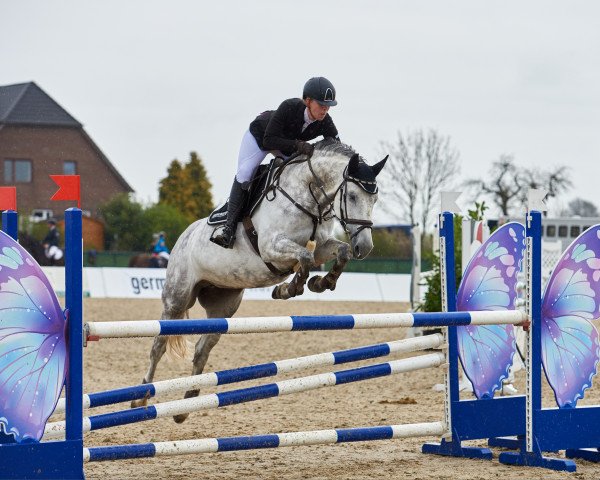 jumper Barclay 21 (KWPN (Royal Dutch Sporthorse), 2006, from Corland)