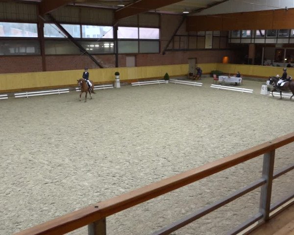 Reitturnier Hamburg-Friedrichshulde/Sylva Kuhrt 2021