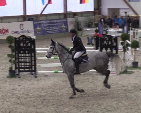 Nordic Jumping events 2019