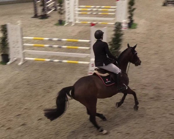 Nordic Jumping events 2019