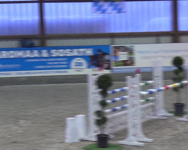 Nordic Jumping events 2019