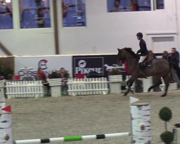 Nordic Jumping events 2019