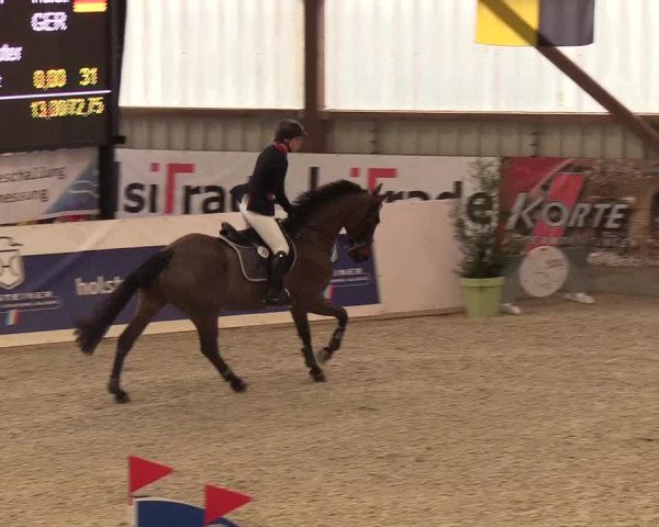 Nordic Jumping events 2019
