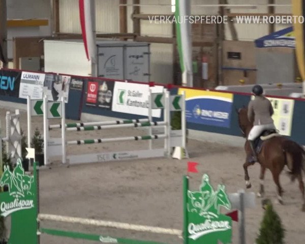 Reitturnier Oberriet 2019