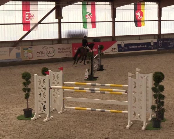 Nordic Jumping events 2019