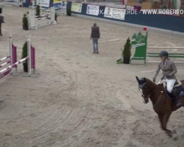 Reitturnier Oberriet 2019