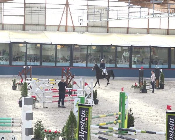 Reitturnier Oberriet 2019