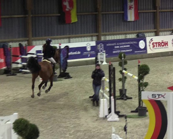 Nordic Jumping events 2019