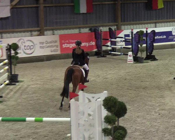 Nordic Jumping events 2019