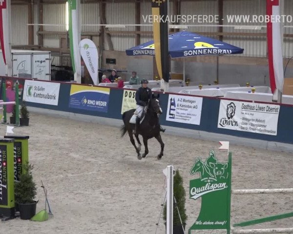Reitturnier Oberriet 2019