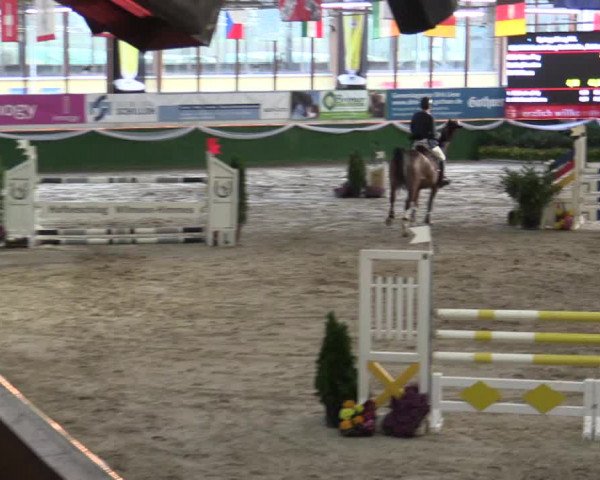 Reitturnier Keppeln - Reitanlage "Hötzenhof" 2019