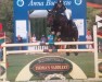 jumper Shu B Dee (Irish Sport Horse, 2003)