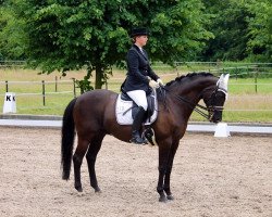 dressage horse Marmaris (Trakehner, 2000, from Hantelis)