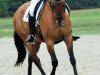 Zuchtstute Sissi Scarlet (Deutsches Reitpony, 2008, von For Kids Only)