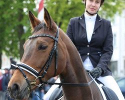 dressage horse Funky Diamond 5 (Westphalian, 2003, from Fürst Piccolo)