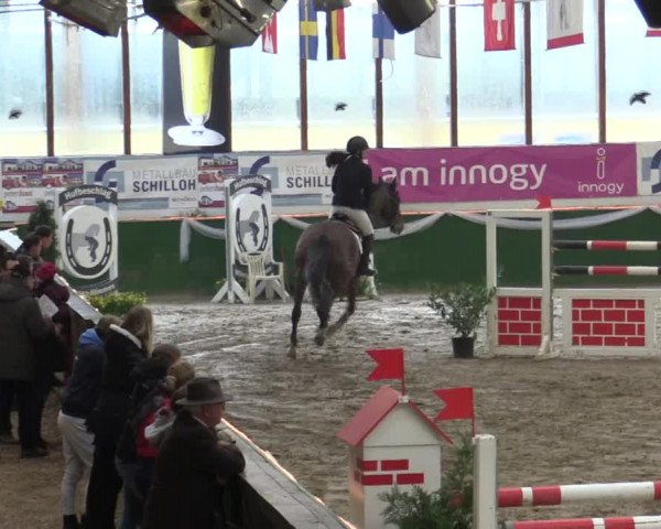 Reitturnier Keppeln - Reitanlage "Hötzenhof" 2019