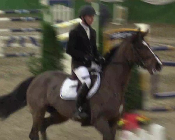 Reitturnier Keppeln - Reitanlage "Hötzenhof" 2019