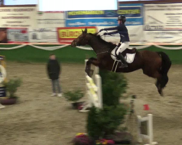 Reitturnier Keppeln - Reitanlage "Hötzenhof" 2019