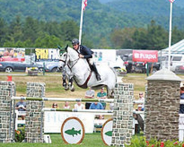 jumper Double O Seven 7 (KWPN (Royal Dutch Sporthorse), 2008, from Mr Blue)