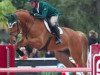 jumper Super Chilled (Irish Sport Horse, 2008, from Gelvin Clover)