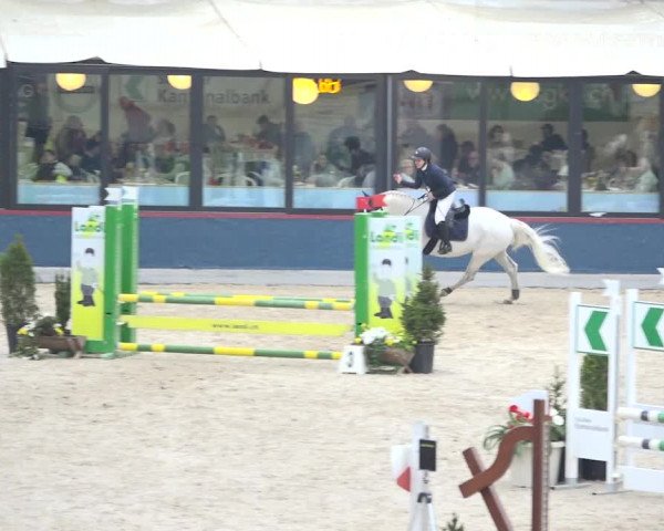 Reitturnier Oberriet 2019