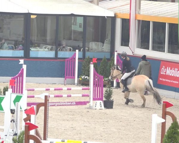 Reitturnier Oberriet 2019