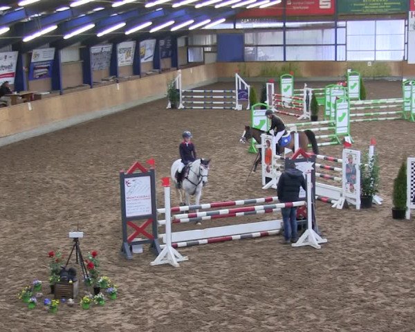 Reitturnier Großenwiehe 2019