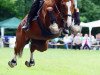 Pferd Show me the way (Polnisches Warmblut, 2006, von Grand de la Cour)