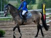 jumper Carnhill Clover Lass (Irish Sport Horse, 2005, from Woodfield Sammy)