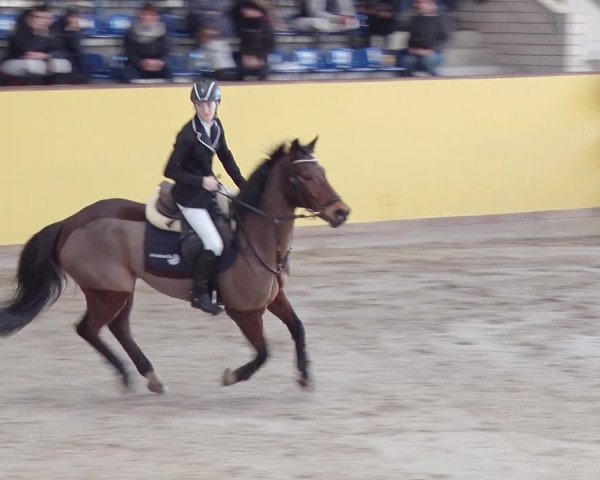 Reitturnier Prussendorf 2019