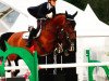 jumper Lucky Silvana Z (Zangersheide riding horse, 2007)