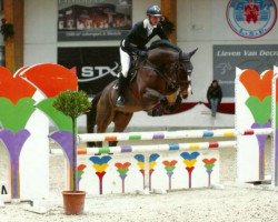 jumper Amour Alric Z (Zangersheide riding horse, 2010, from Aganix du Seigneur)