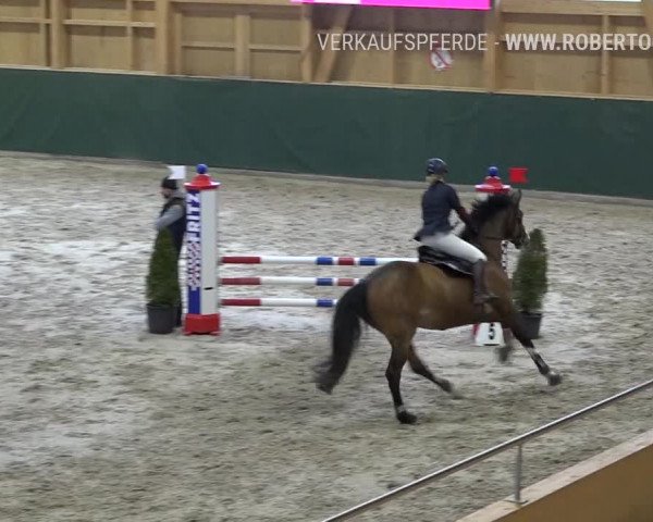 Reitturnier Dielsdorf, Horsepark Masters 2019