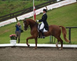 dressage horse Eno (German Sport Horse, 2004, from Eskadron)