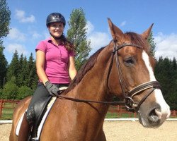 dressage horse Final Cut (Hanoverian, 2004, from Federweisser)