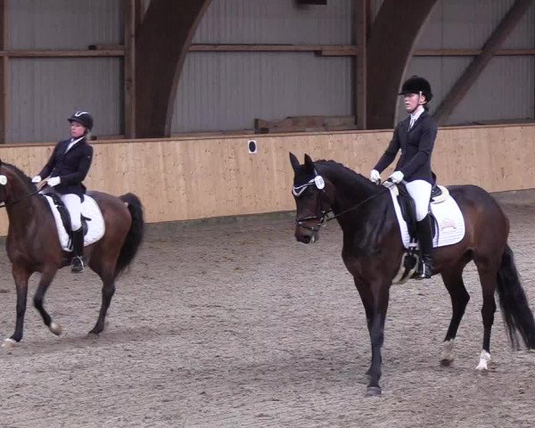 Reitturnier Leck 2019