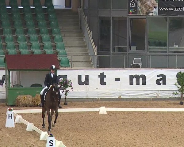 Reitturnier Kreuth/Opf. 2019