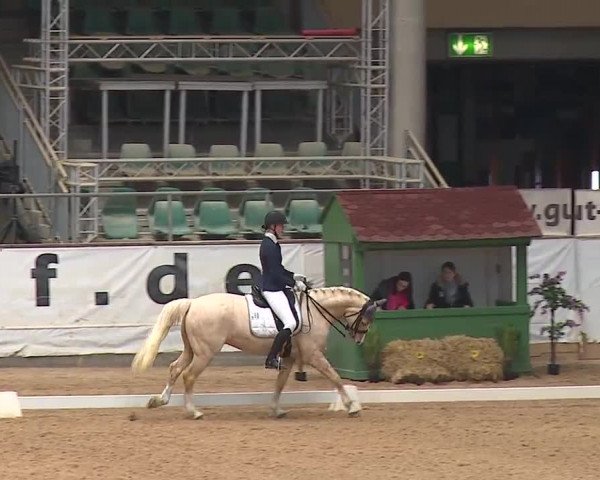 Reitturnier Kreuth/Opf. 2019