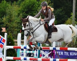 Springpferd Carnhill Diamond (Irish Sport Horse, 2004, von Moores Clover)