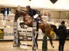 jumper Bay Hayes (Irish Sport Horse, 2000)