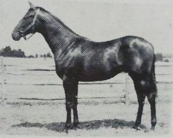 stallion Reneged xx (Thoroughbred, 1953, from Revoked xx)