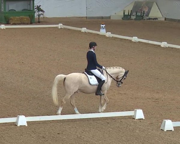 Reitturnier Kreuth/Opf. 2019