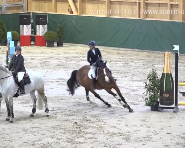 Reitturnier Dielsdorf, Horsepark Masters 2019