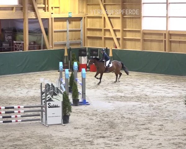 Reitturnier Dielsdorf, Horsepark Masters 2019