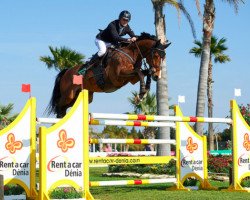 jumper Isidoor van de Helle (Belgian Warmblood, 2008, from Canturo)